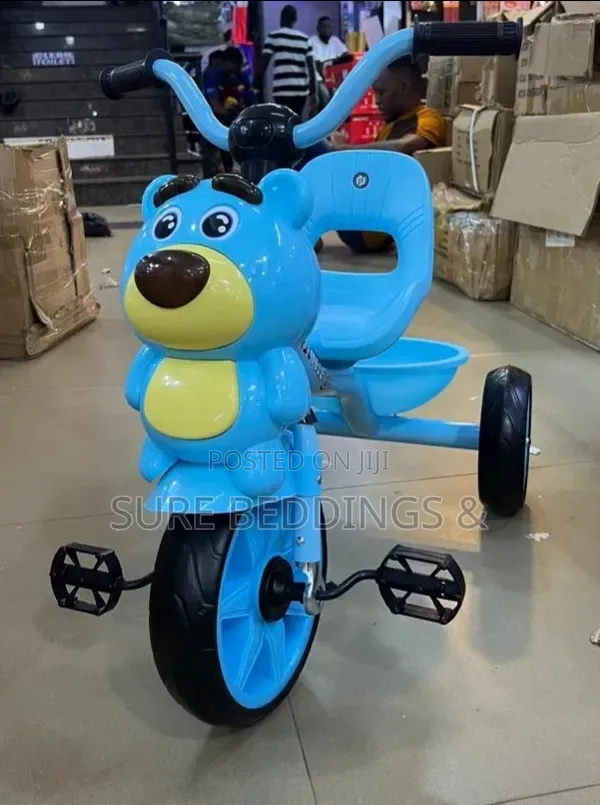 Blue Ark Kids Tricycle