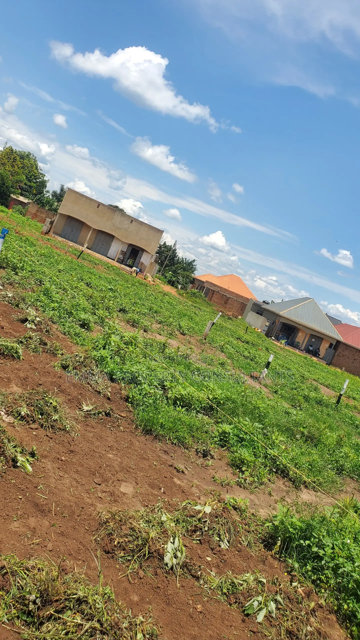 KIWENDA BULESA Estate View Estate Plots Available at 35m With TITLES