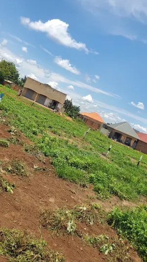 KIWENDA BULESA Estate View Estate Plots Available at 35m With TITLES