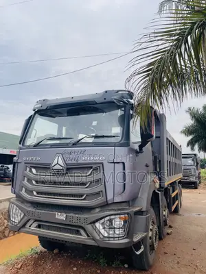 Sinotruk Dumper 2025 Gray