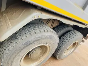 Sinotruk Dumper 2025 Gray