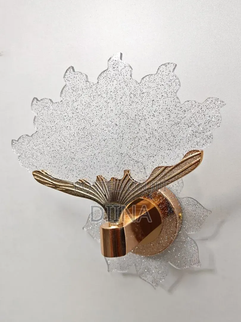 Wall Brackets Light
