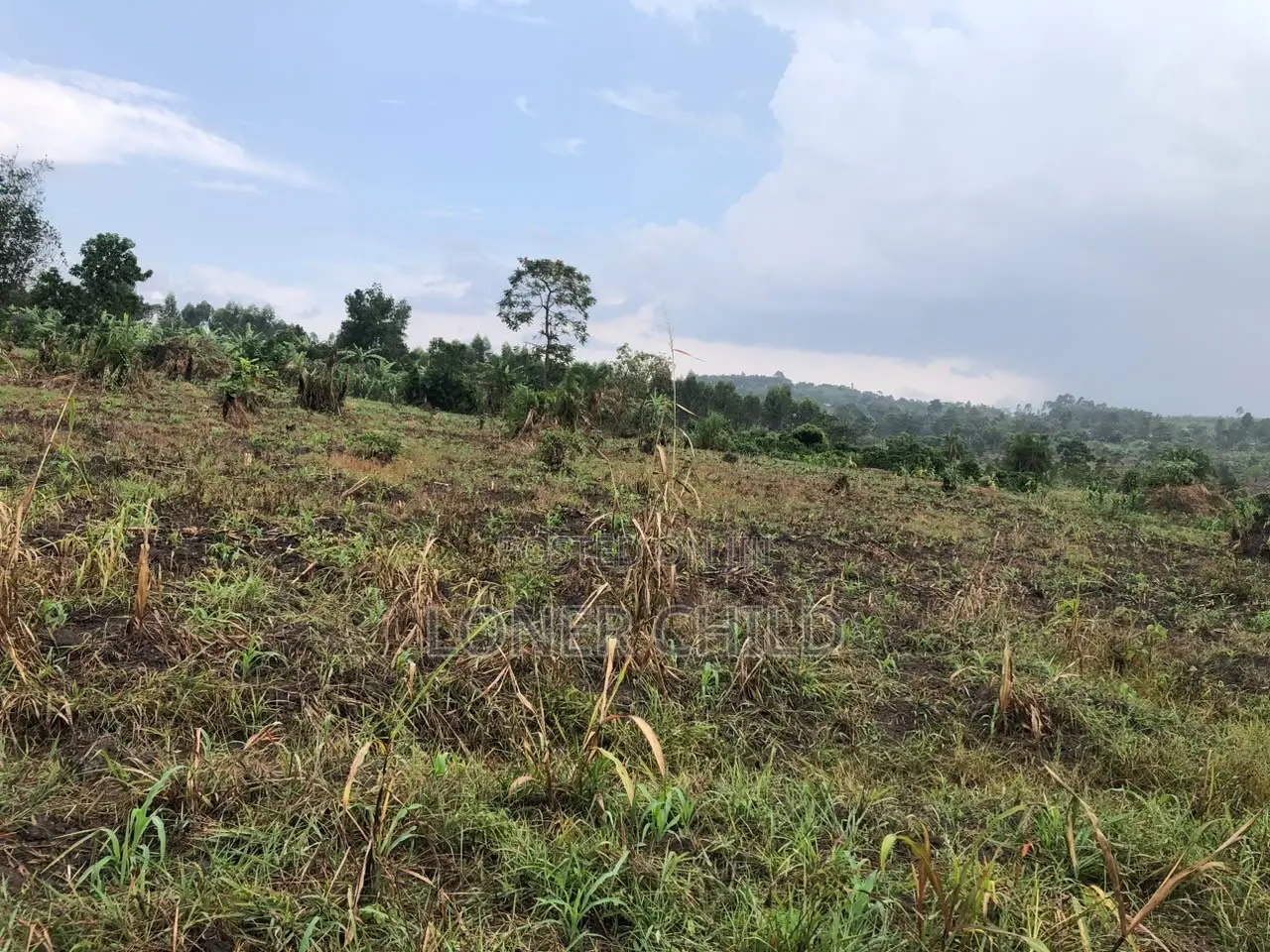 12 Acres for Sale in Wakiso Busunju