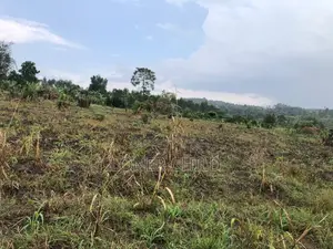 12 Acres for Sale in Wakiso Busunju