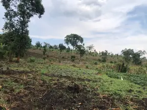 12 Acres for Sale in Wakiso Busunju