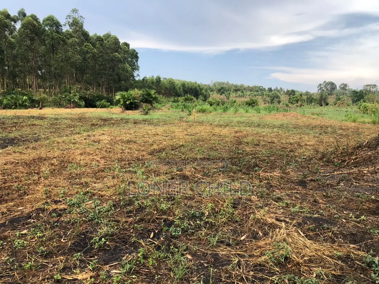 12 Acres for Sale in Wakiso Busunju