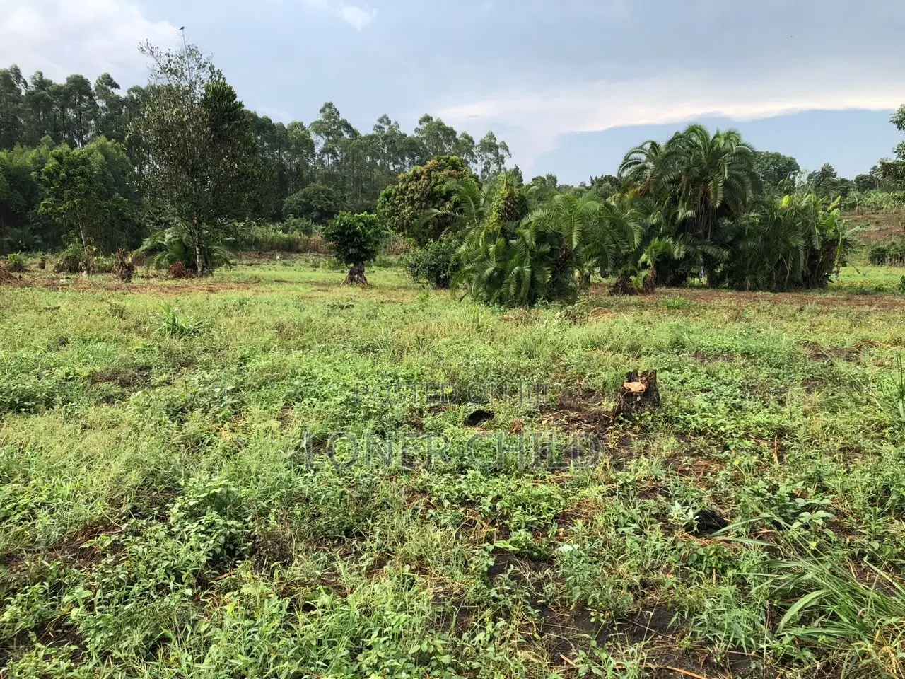 12 Acres for Sale in Wakiso Busunju