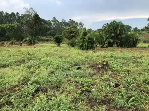 12 Acres for Sale in Wakiso Busunju