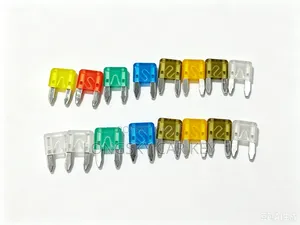 Fuse for Replacement