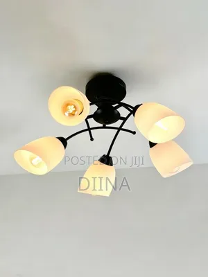 Hanging Ceiling Light