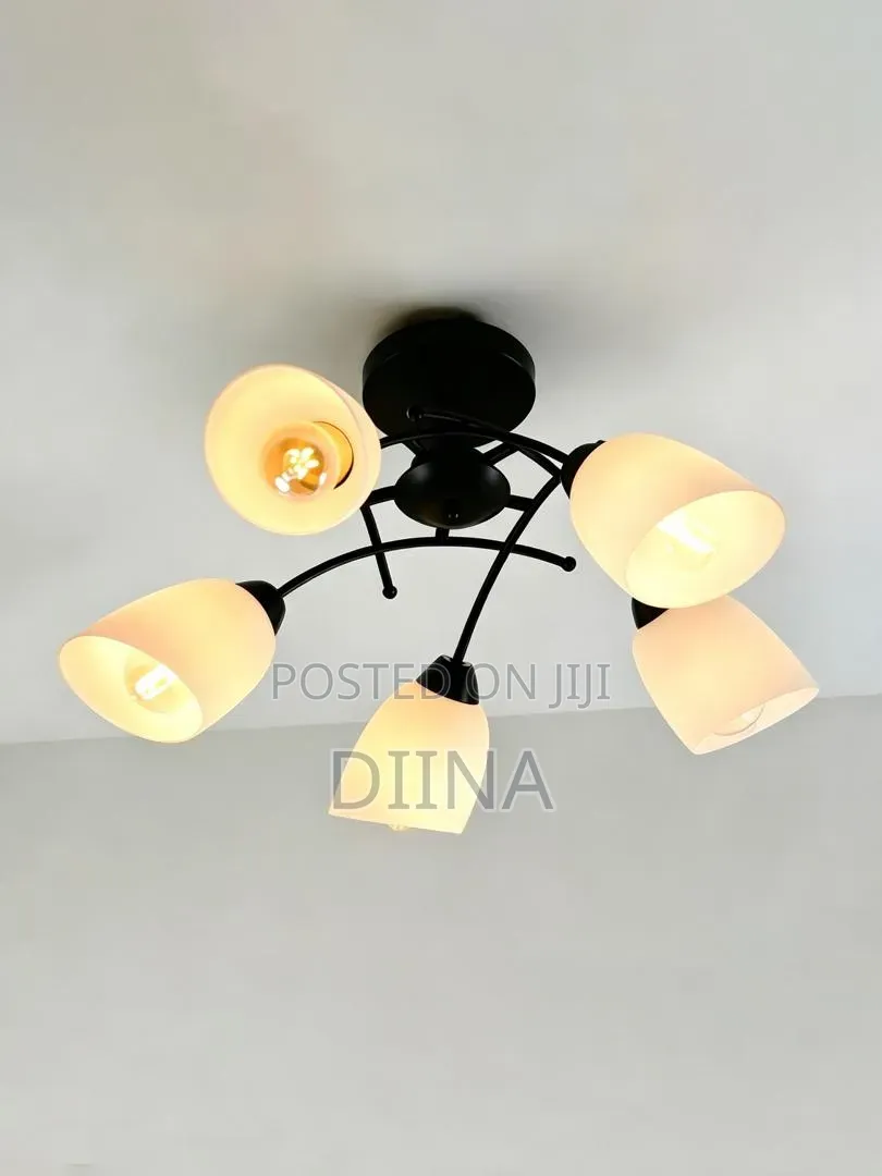 Hanging Ceiling Light