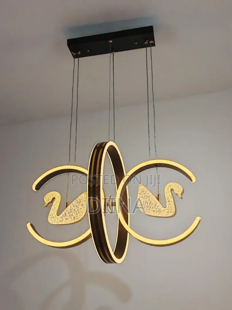 Hanging Ceiling Light
