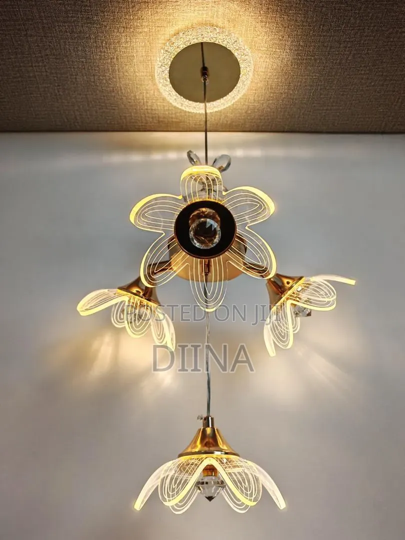 Hanging Ceiling Light