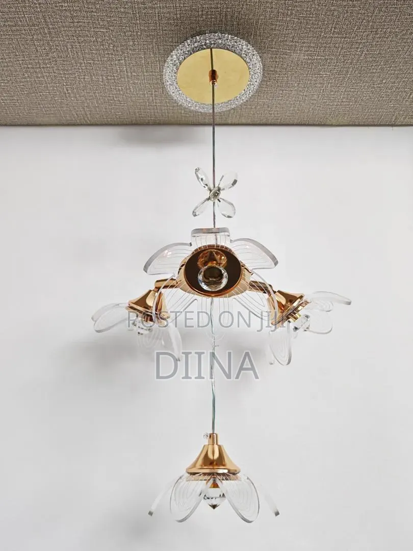 Hanging Ceiling Light