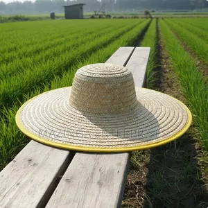 Chinese Wide Woven Straw Farmer's Sun Hat for Construction,gardening