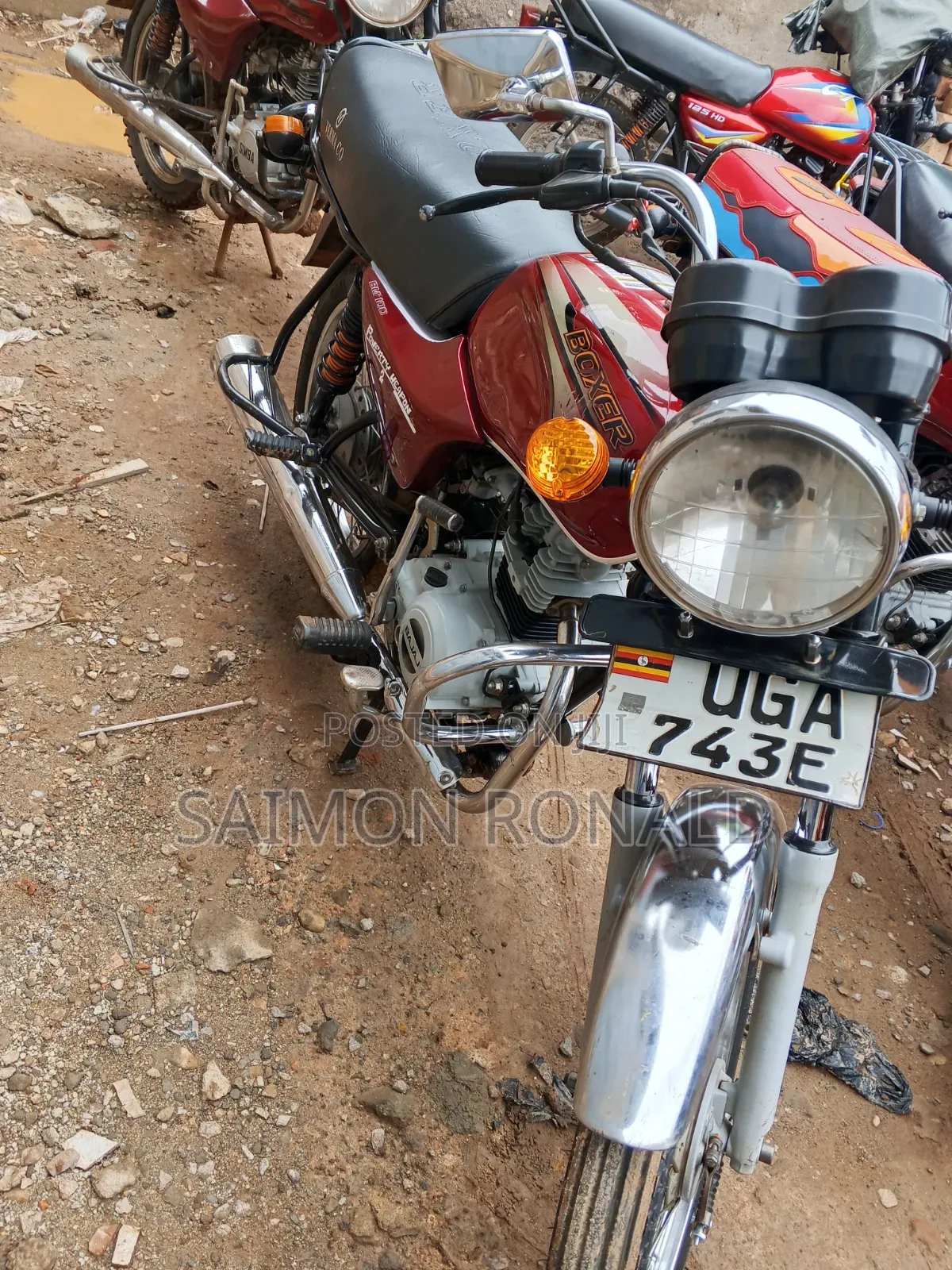 Bajaj Boxer 100 2025 Red