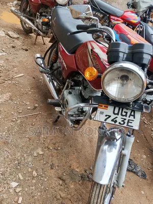 Bajaj Boxer 100 2025 Red