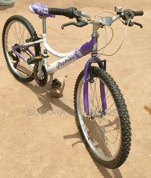 UK ProBike Melody Purple and White Youth/Kids Mountain Bike, 24inch.