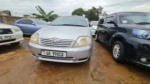 Toyota Allex 2002 White