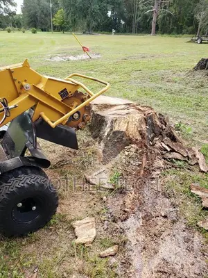 Tree/Stump Removal