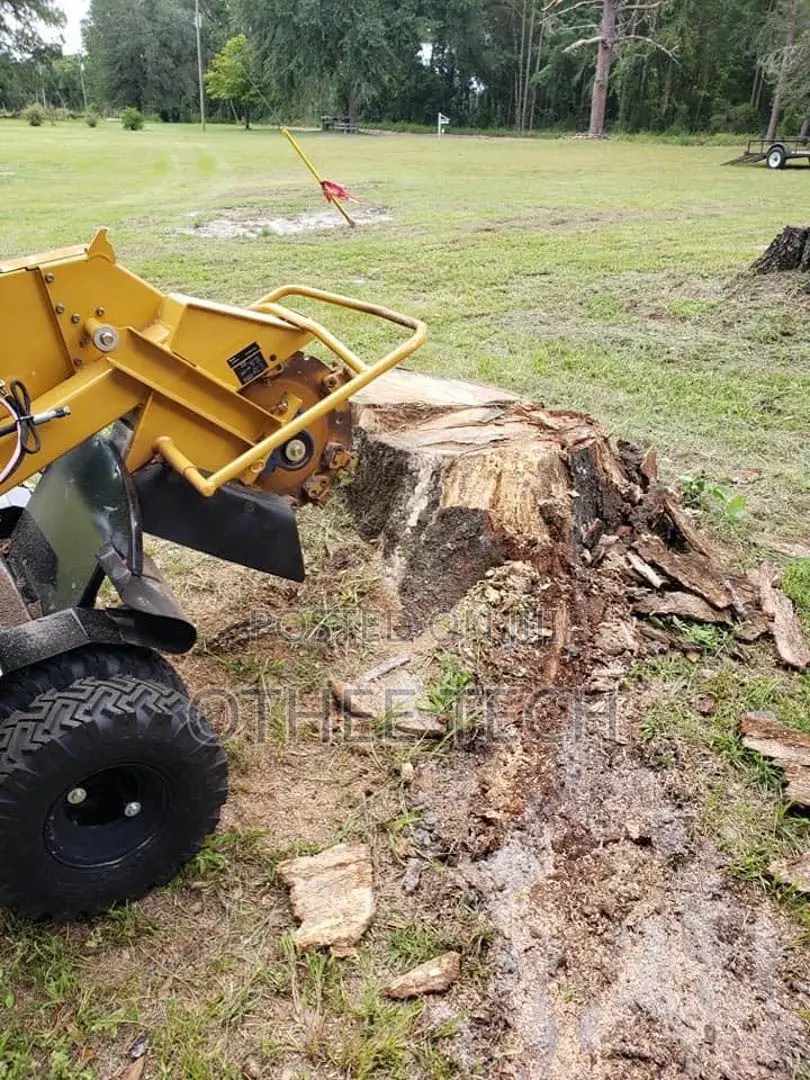 Tree/Stump Removal