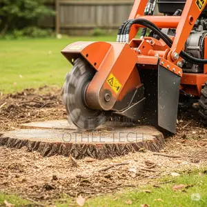 Tree/Stump Removal