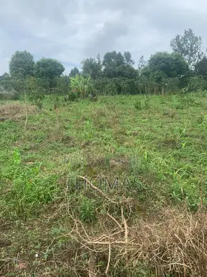 Residential Land