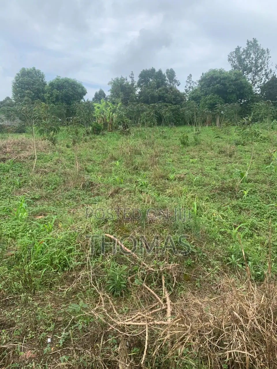 Residential Land