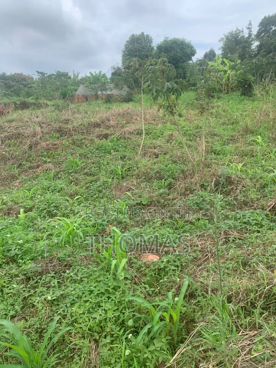 Residential Land
