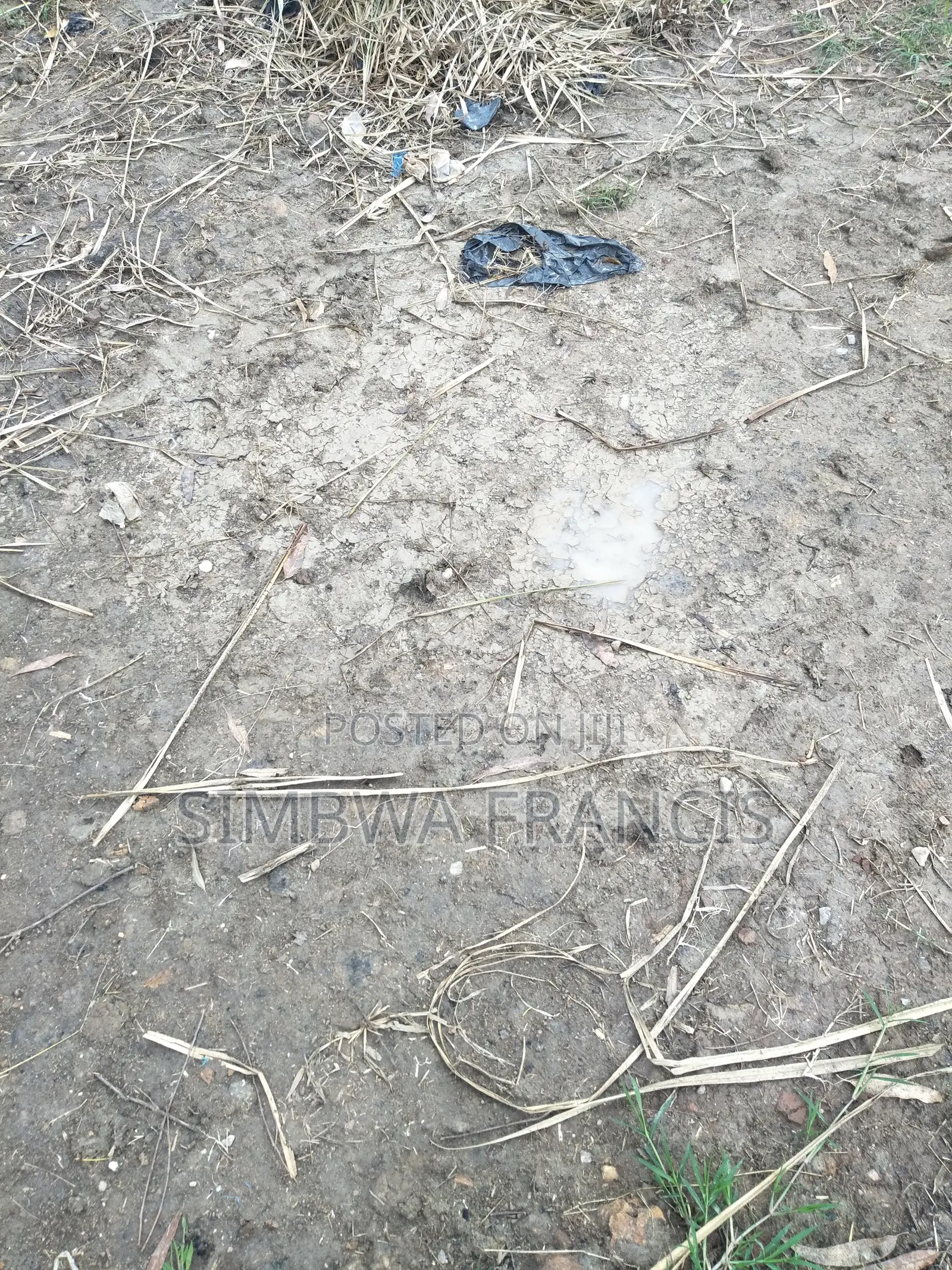 Plot for Sale in Kasenge Nakawuka Road but I's in Swamp Area 25×40