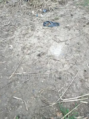 Plot for Sale in Kasenge Nakawuka Road but I's in Swamp Area 25×40