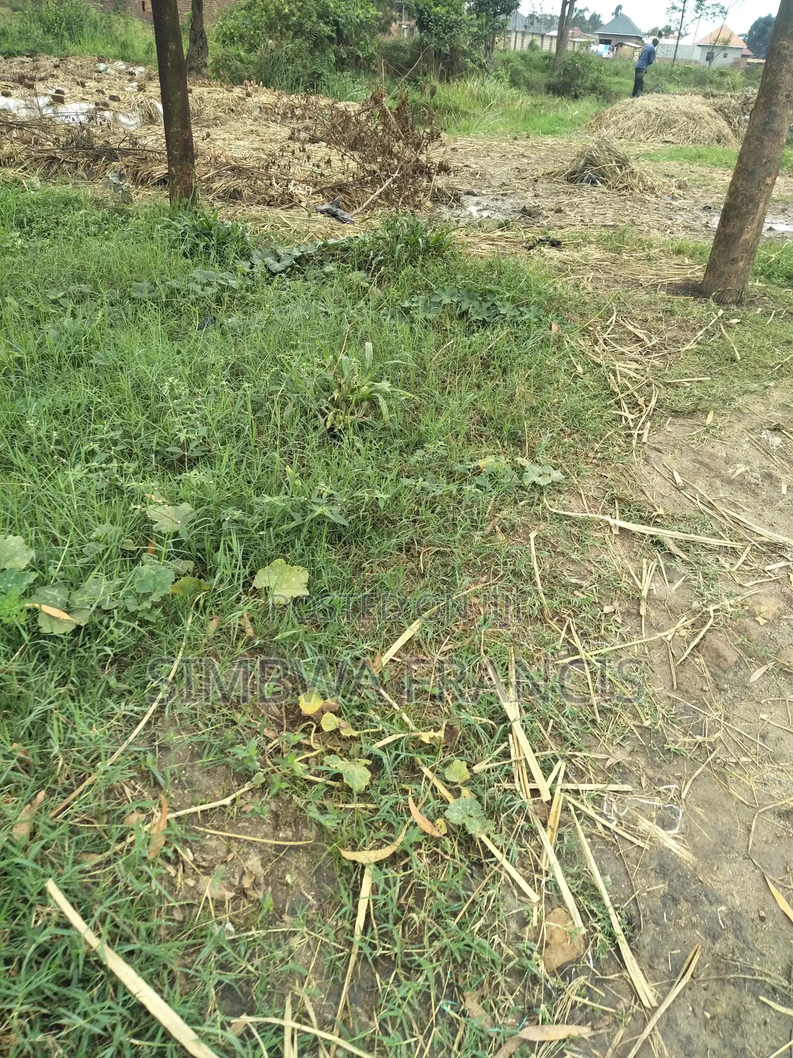 Plot for Sale in Kasenge Nakawuka Road but I's in Swamp Area 25×40