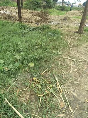 Plot for Sale in Kasenge Nakawuka Road but I's in Swamp Area 25×40