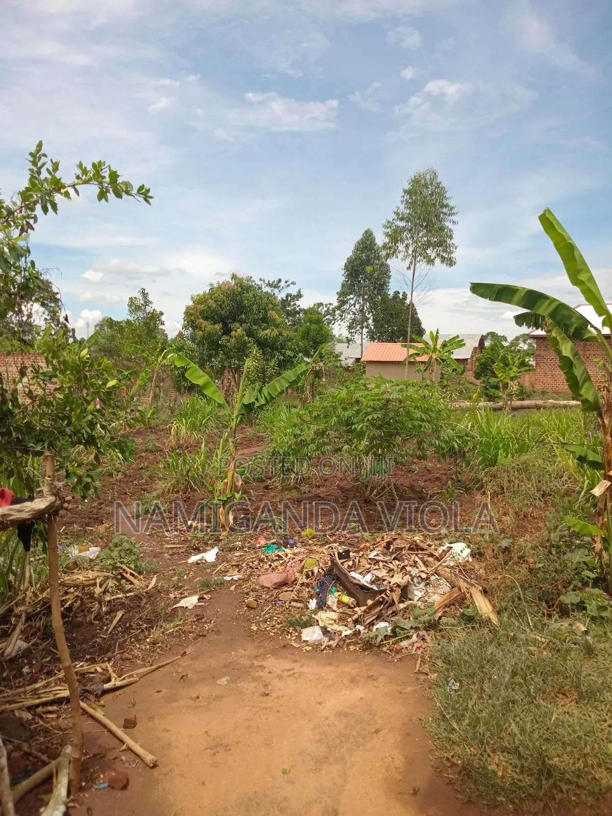 Land for Sale