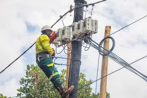 Smart Metering Systems Installation Services