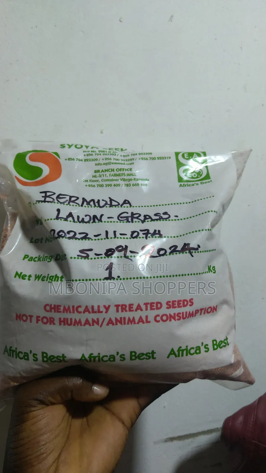Bermuda Grass Seeds - 1 Kg/Ever Green for Sport Ground and Gardening
