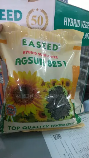 Hybrid Natural Sunflower Seeds for Farming 1Kg Suitable Home Garden