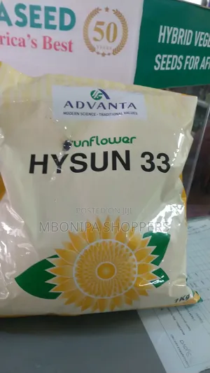 Hysun 33 Sunflower