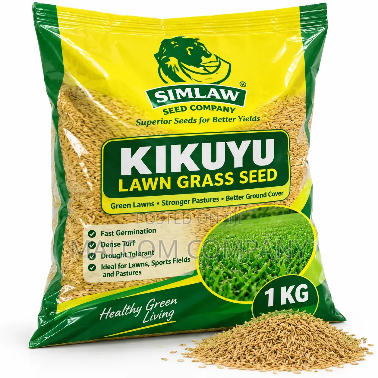 Kikuyu Lawn Grass Seed 1KG – Green Lawn Landscaping Grass Seeds Uganda