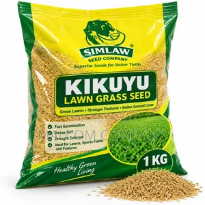 Kikuyu Lawn Grass Seed 1KG – Green Lawn Landscaping Grass Seeds Uganda