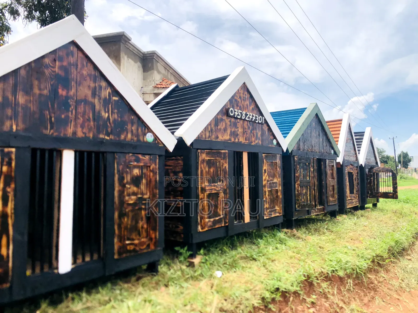 House Dog Uganda