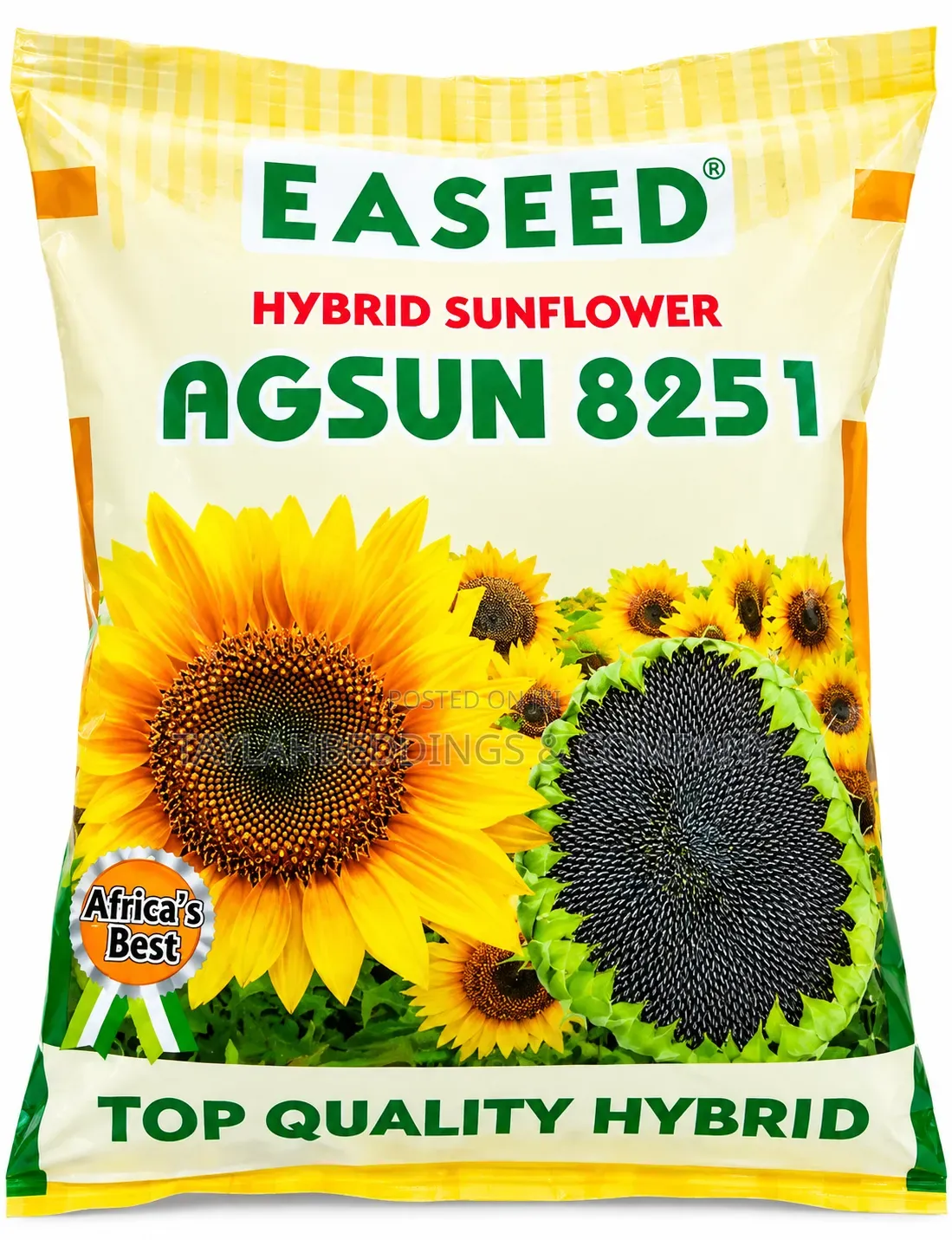 Hybrid Sunflower Seeds ( Per 1 Kg)