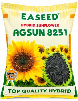Hybrid Sunflower Seeds ( Per 1 Kg)