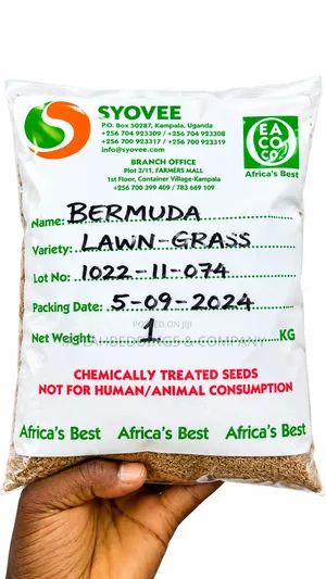 High Quality Bermuda Grass Seeds for Lawn Gardening Fast Growing 1kg
