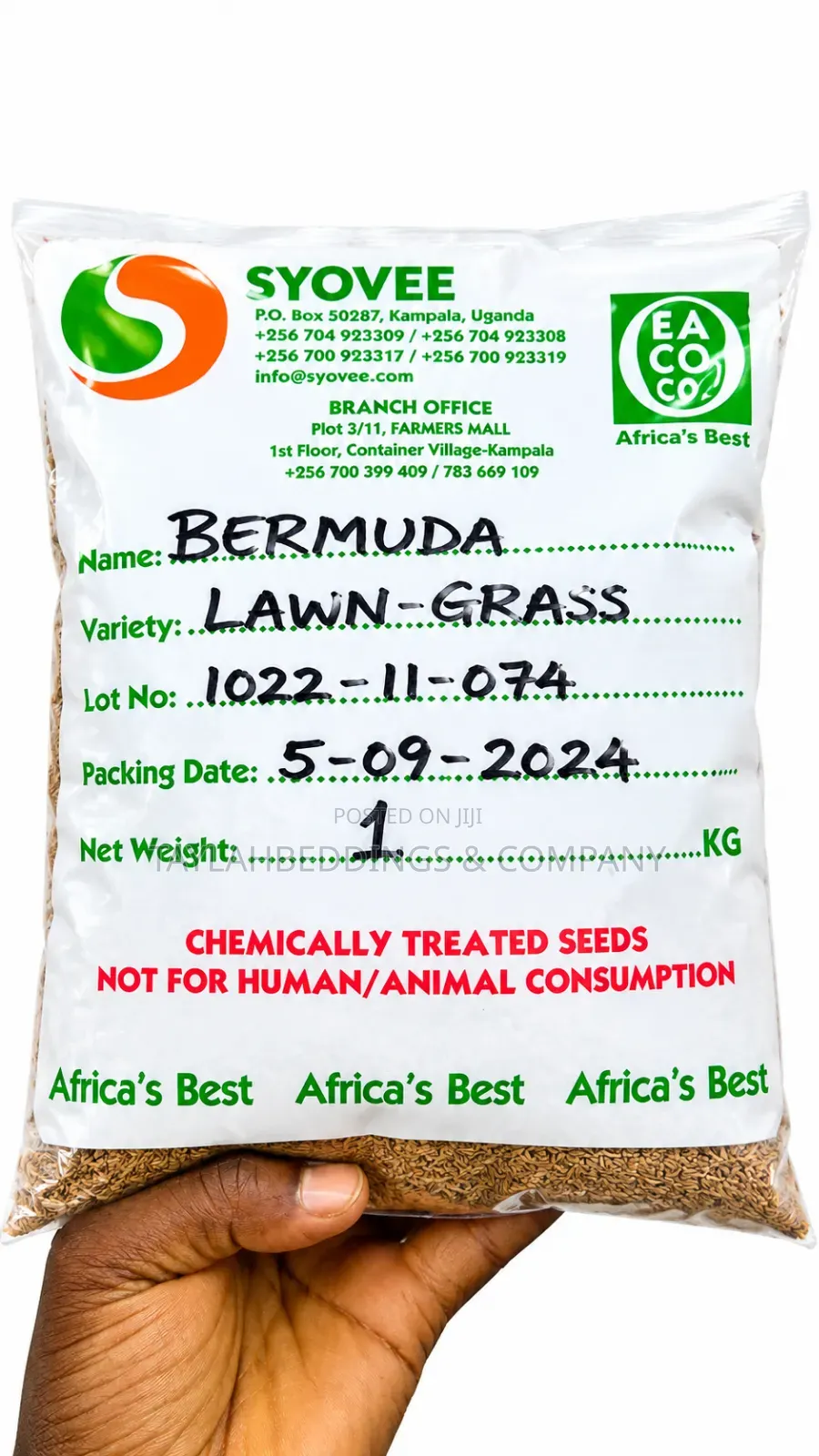 High Quality Bermuda Grass Seeds for Lawn Gardening Fast Growing 1kg