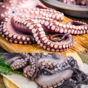 Octopus 1kg