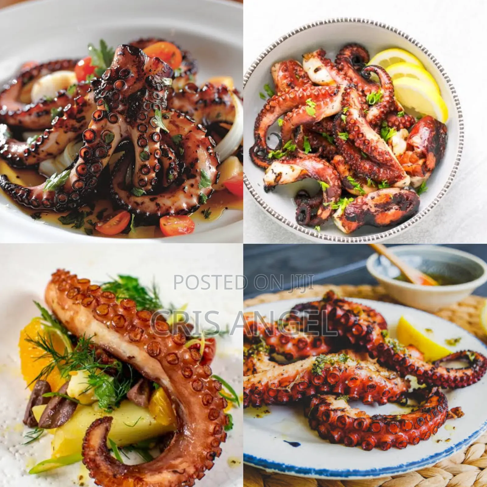 Octopus 1kg