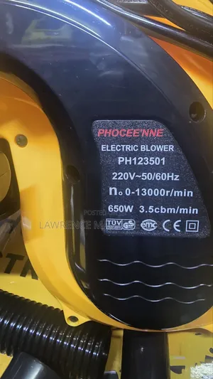 Electric Air Blower 650 Watts