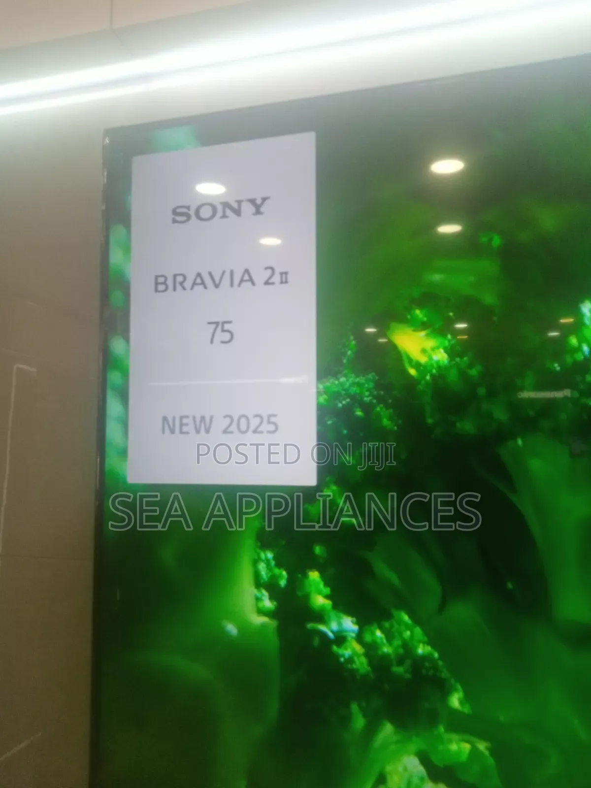 Sony 75 Bravia S20 Mk2