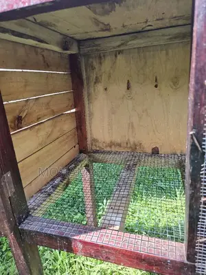 Animal Cage